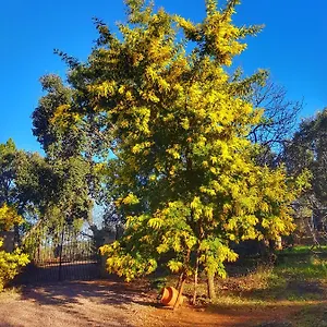Сasa de vacaciones La Viriñuela, Galaroza
